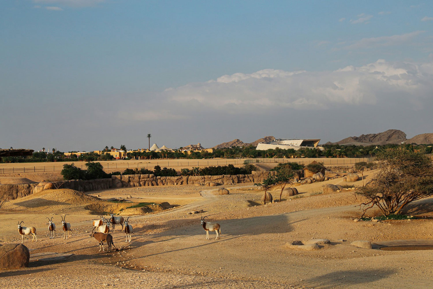 4. Al Ain Zoo