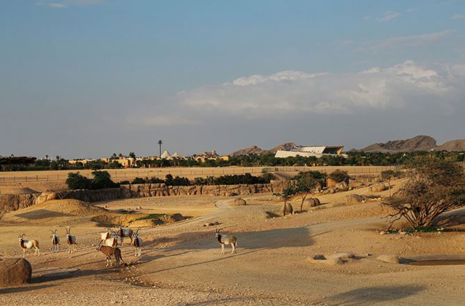 4. Al Ain Zoo