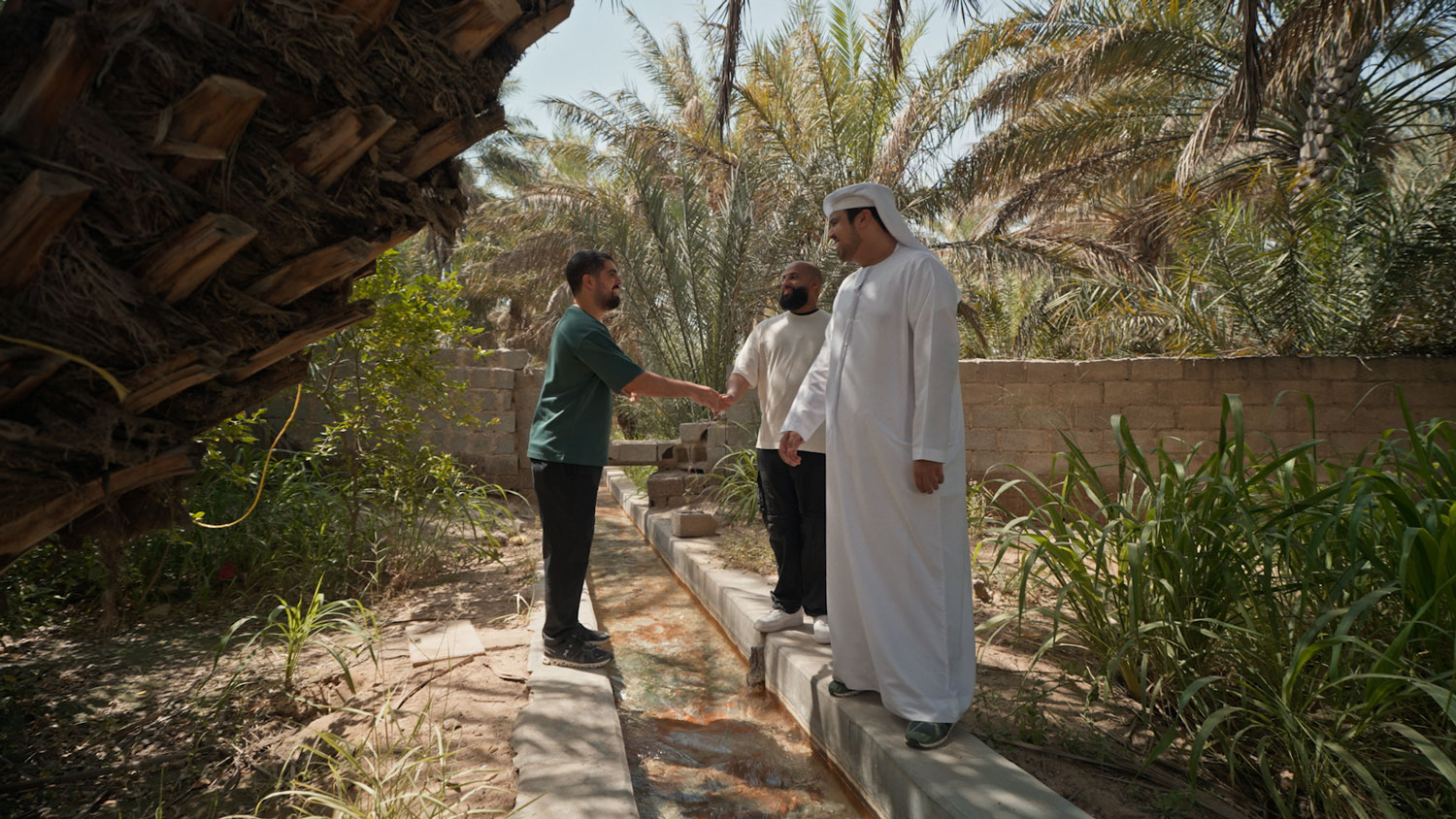 Wander through Al Ain Oasis