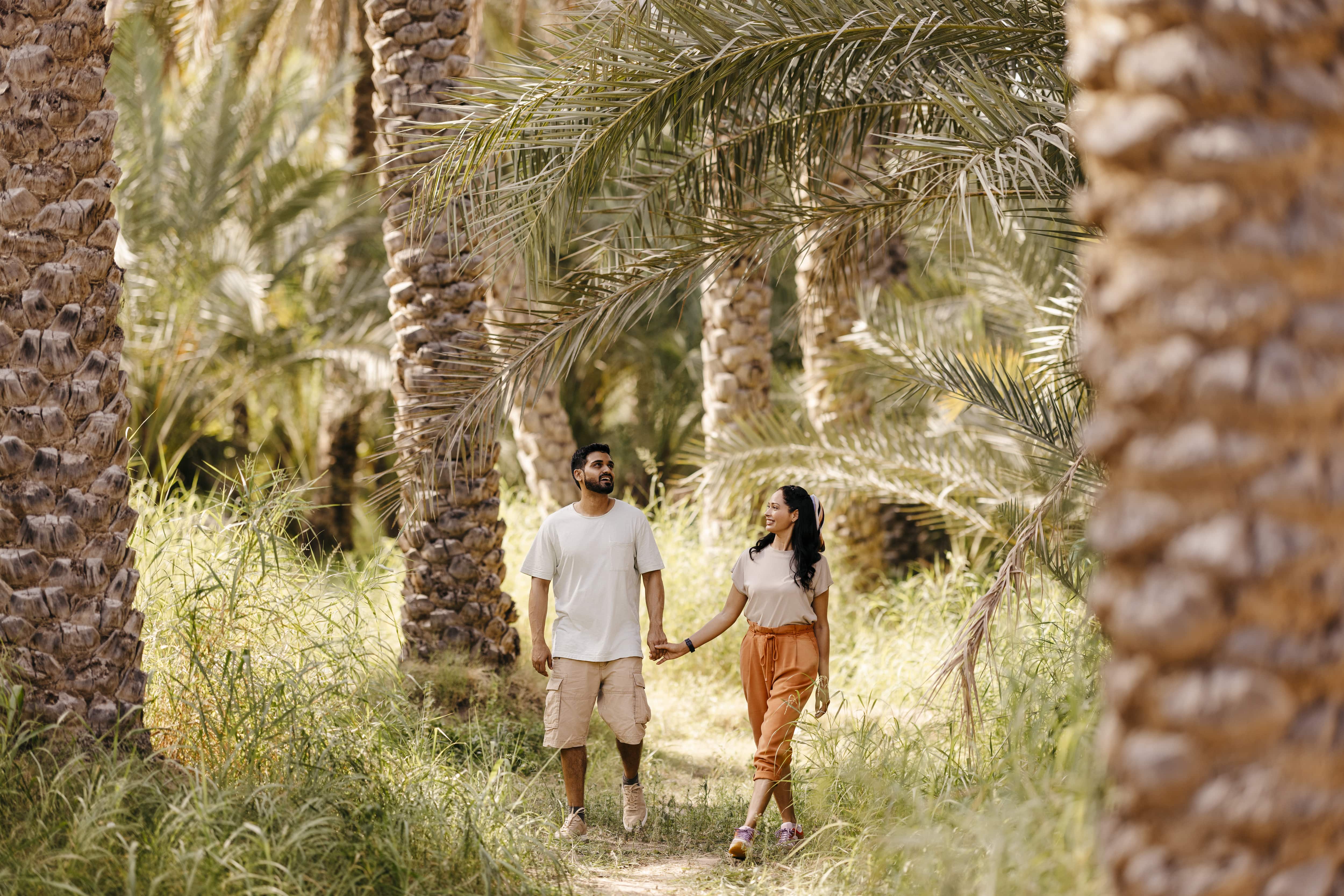 Al Ain Oasis