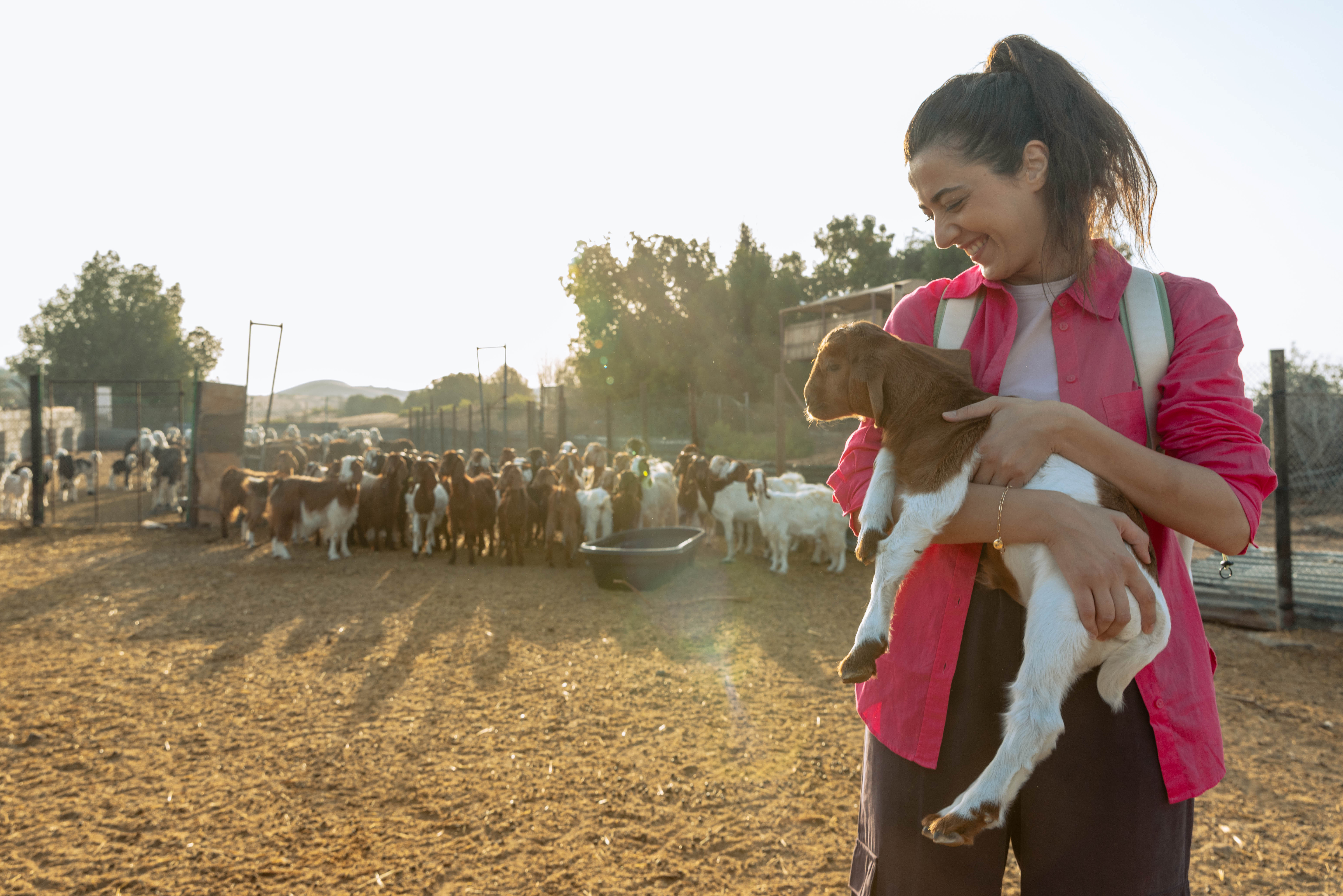 5. Visit Al Ain Farms