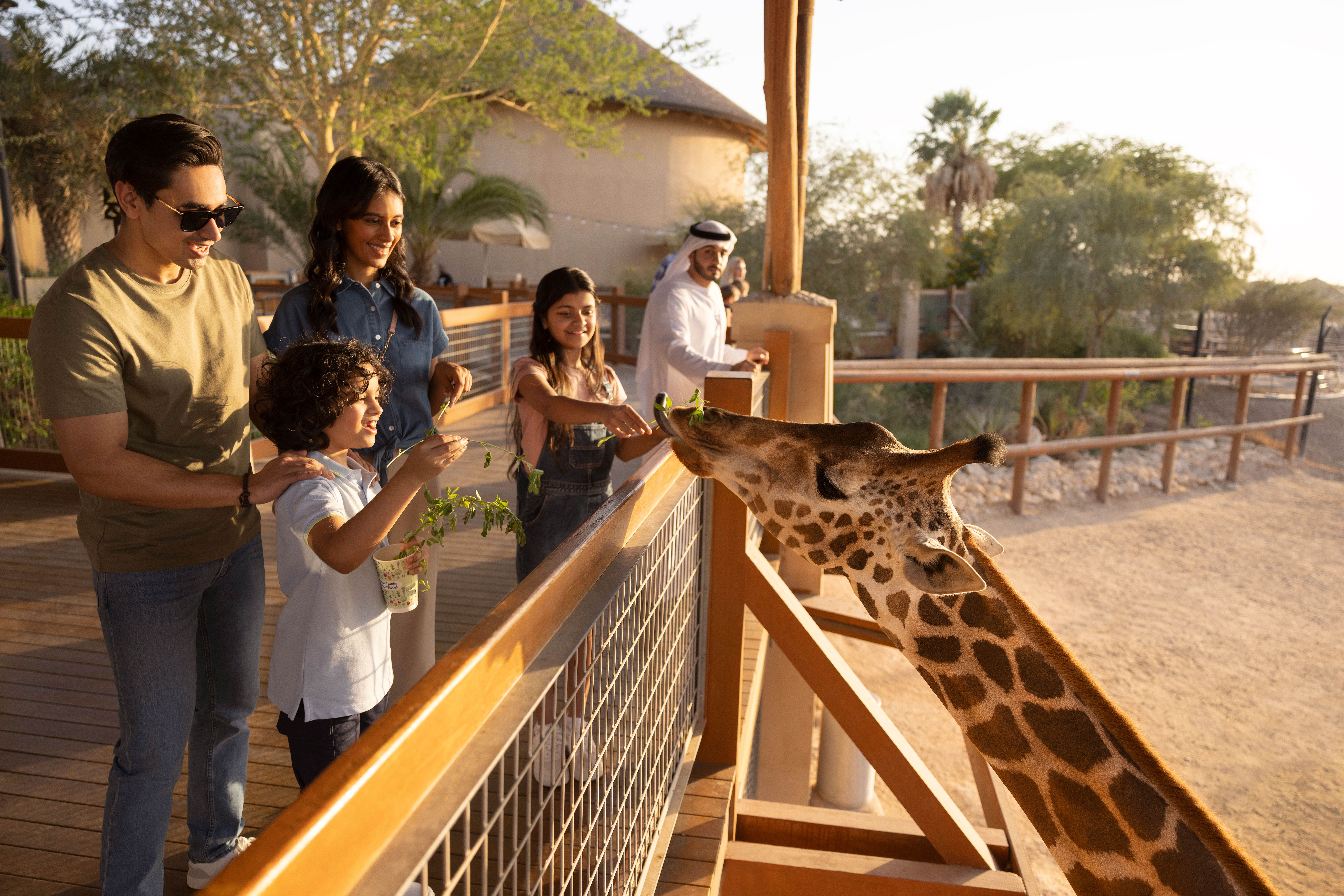 2. Embark on a safari