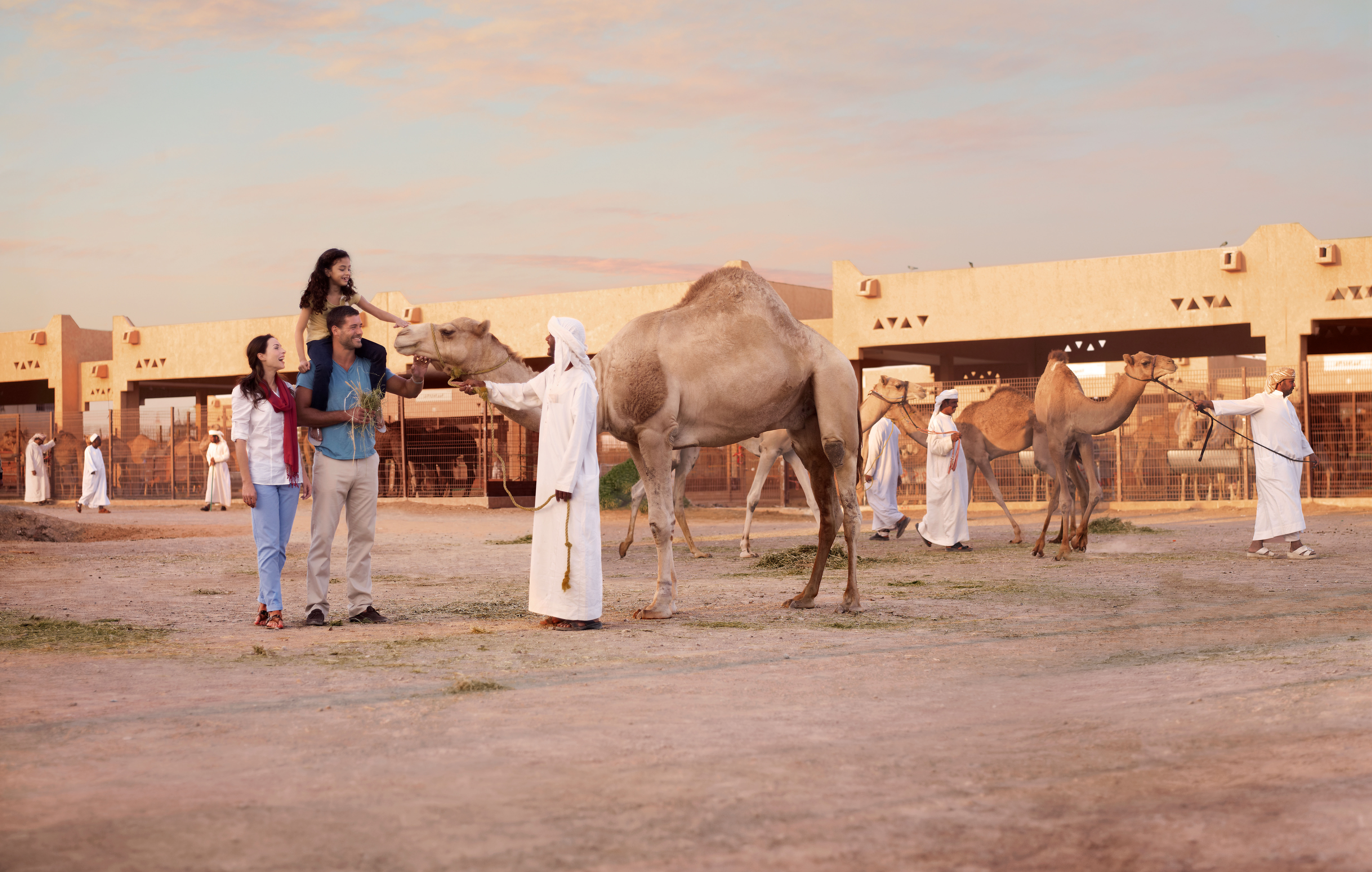 4. Visit a camel market