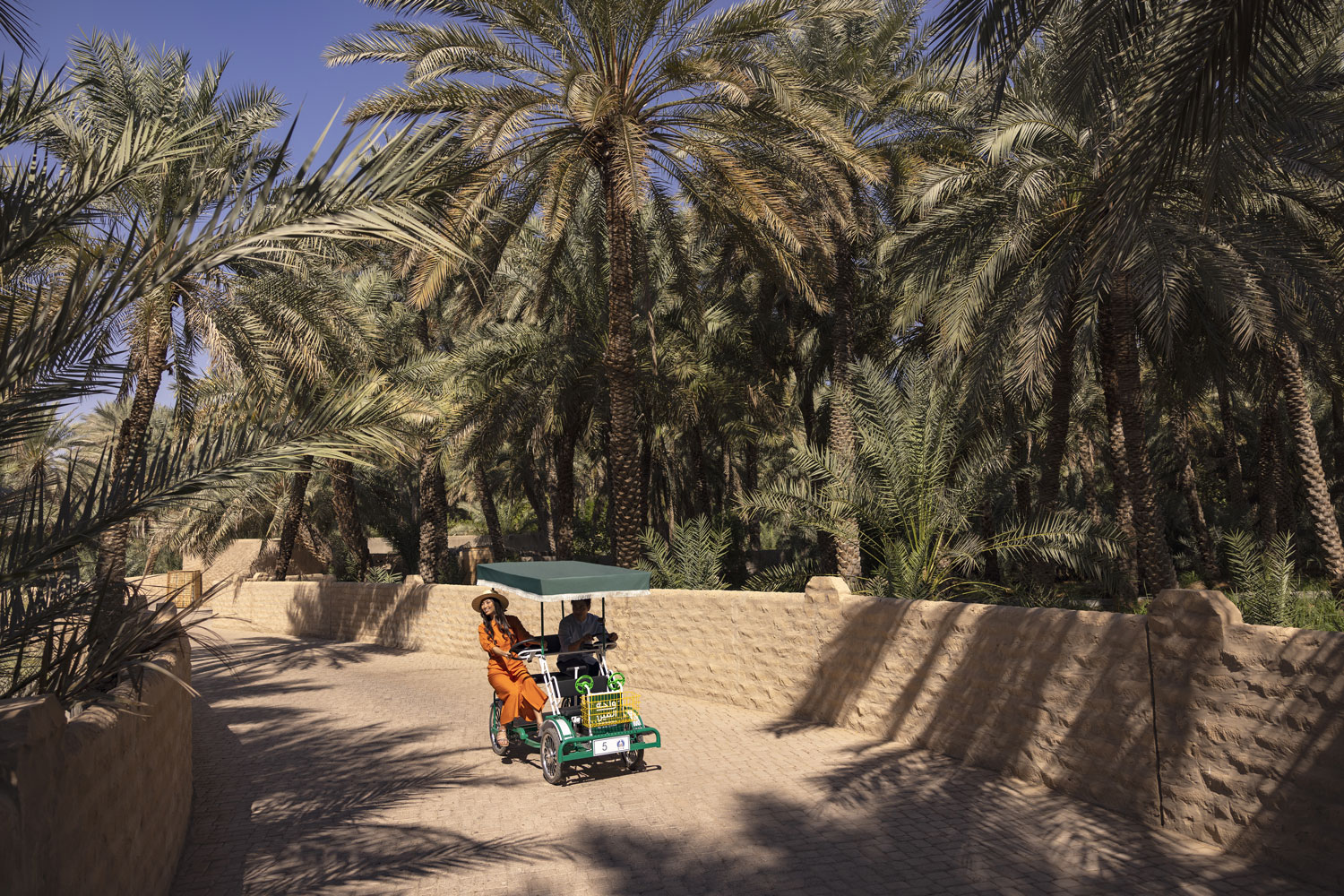 Al Ain Oasis