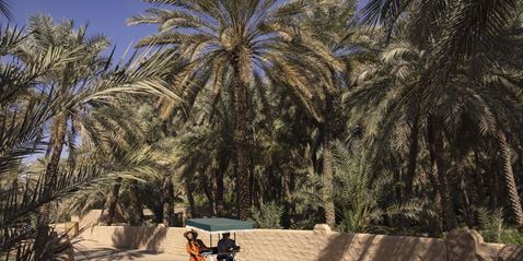 Al Ain Oasis