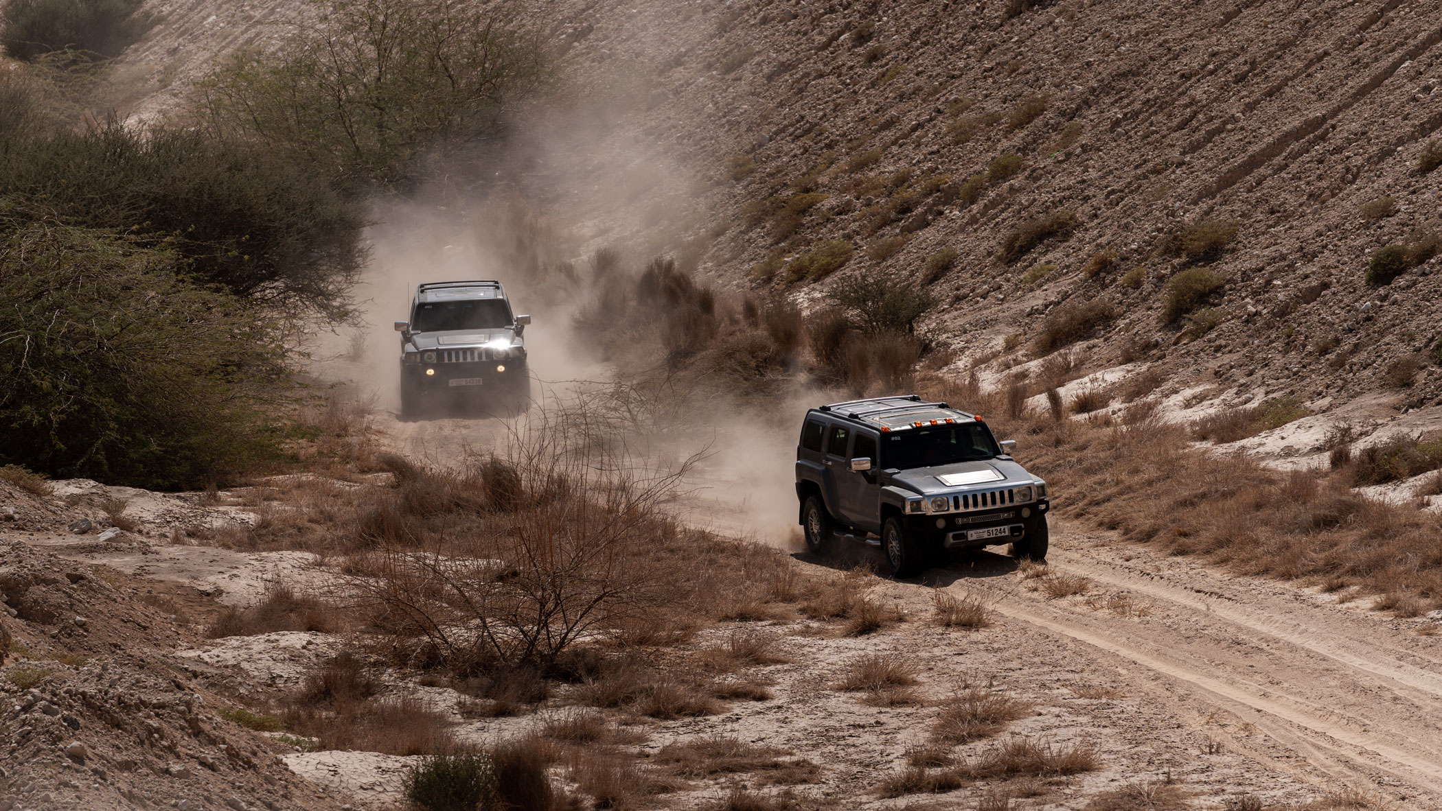 Activities in Al Ain Adventure Park