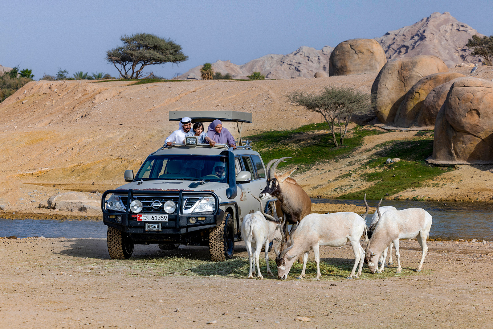 Level up your experience with a safari tour