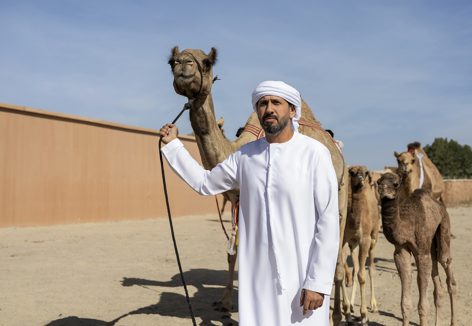 Things to do at the Camel Market