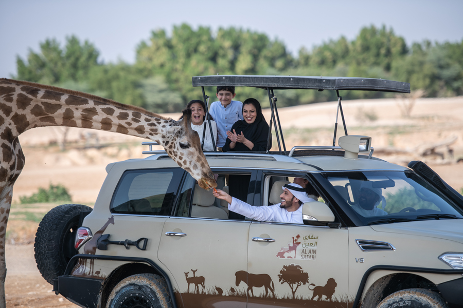 Go on a safari