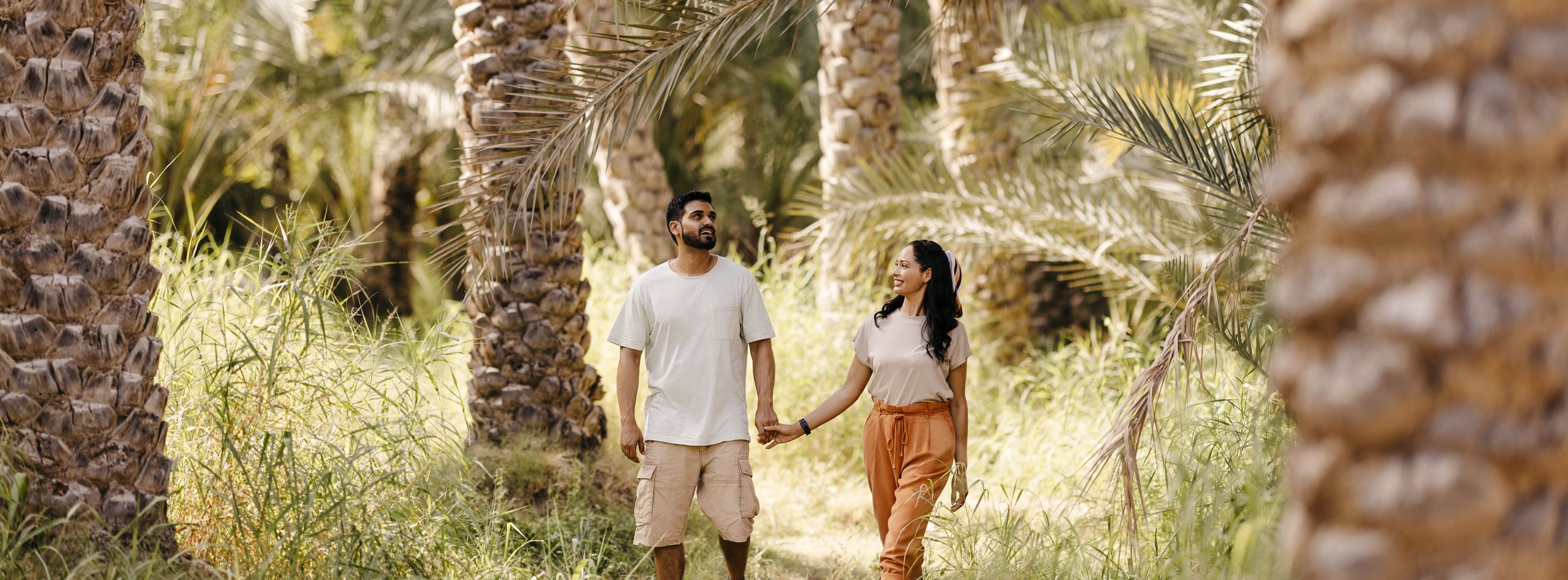 Al Ain Oasis