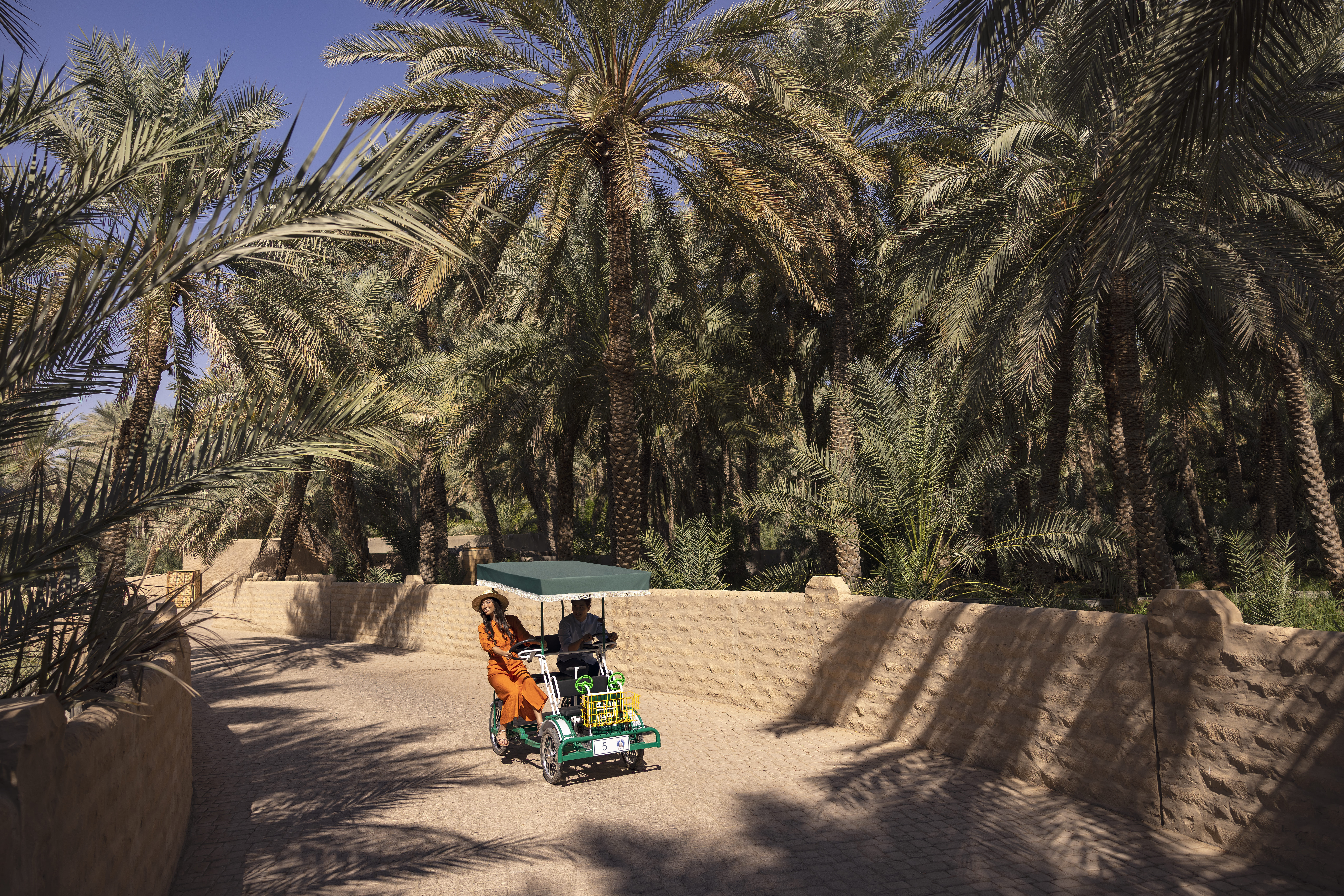 واحة العين