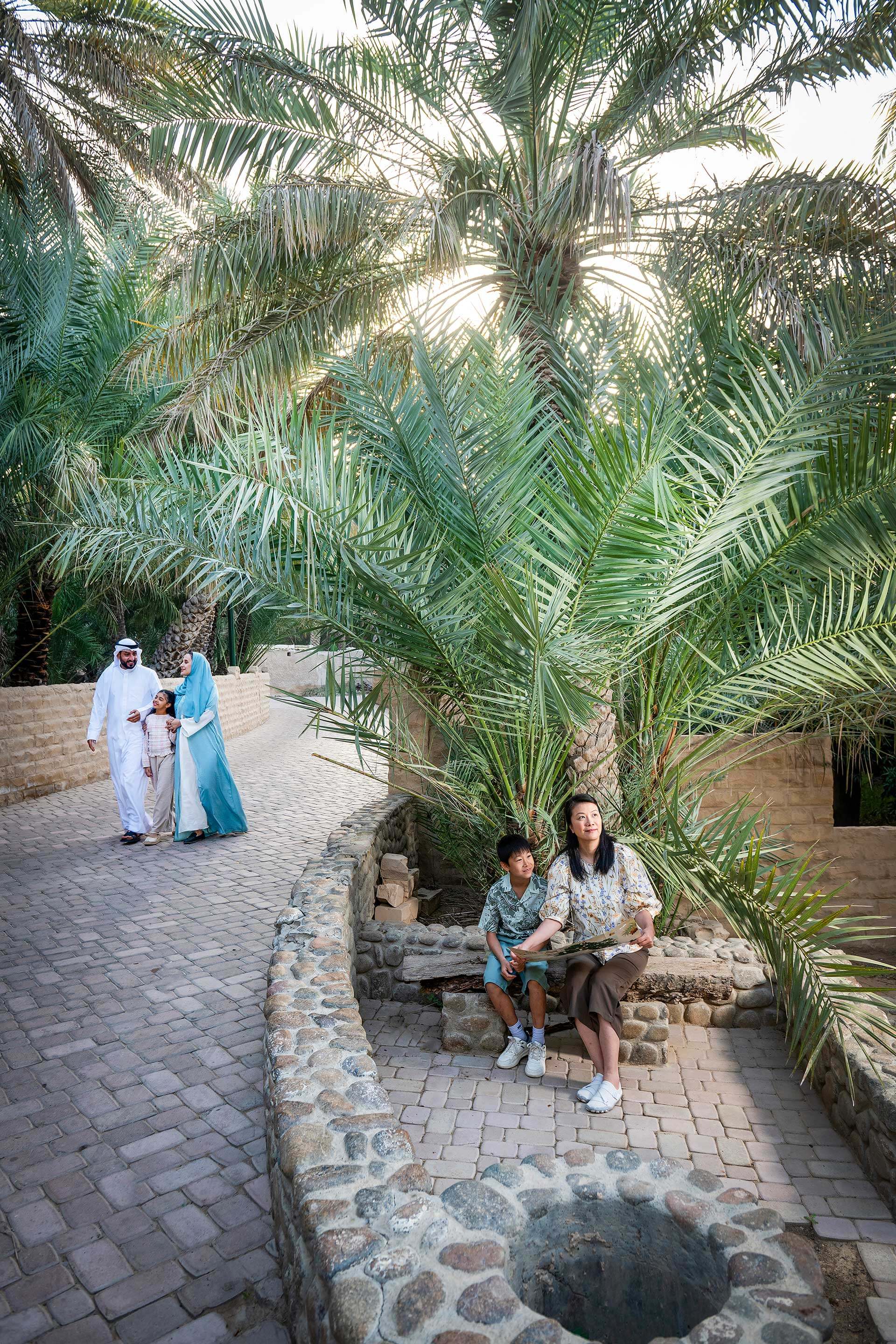 Al Ain Oasis