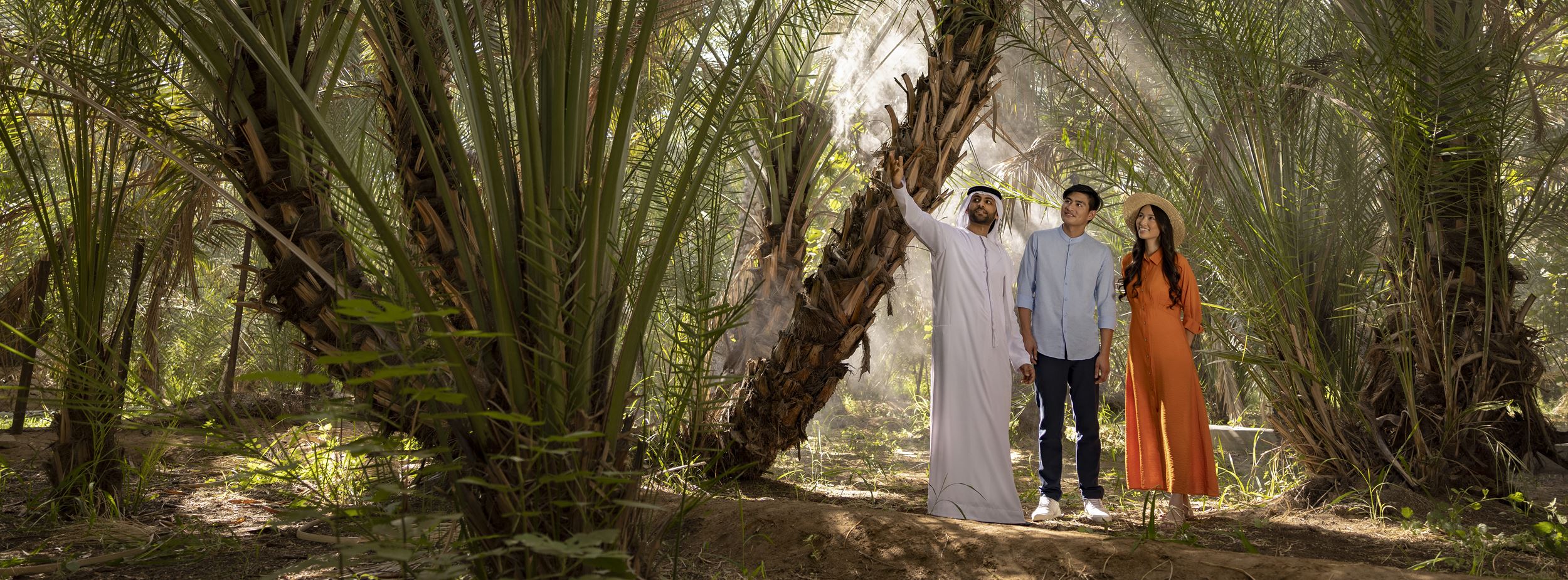 al ain oasis