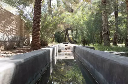 Al Hili Oasis