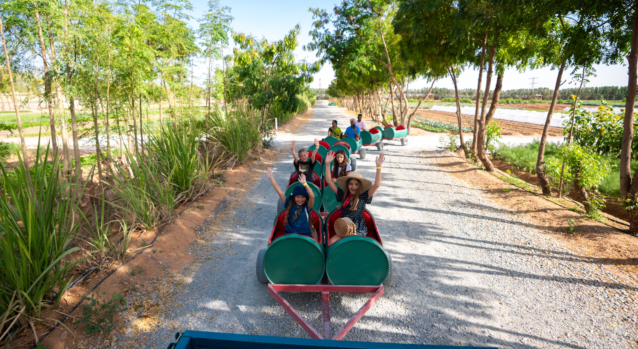 Family-friendly farm activities