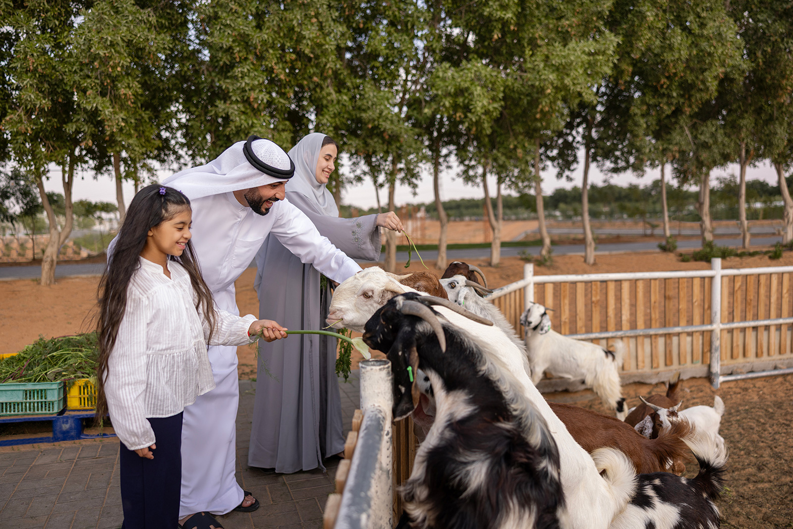 Family-friendly farm activities
