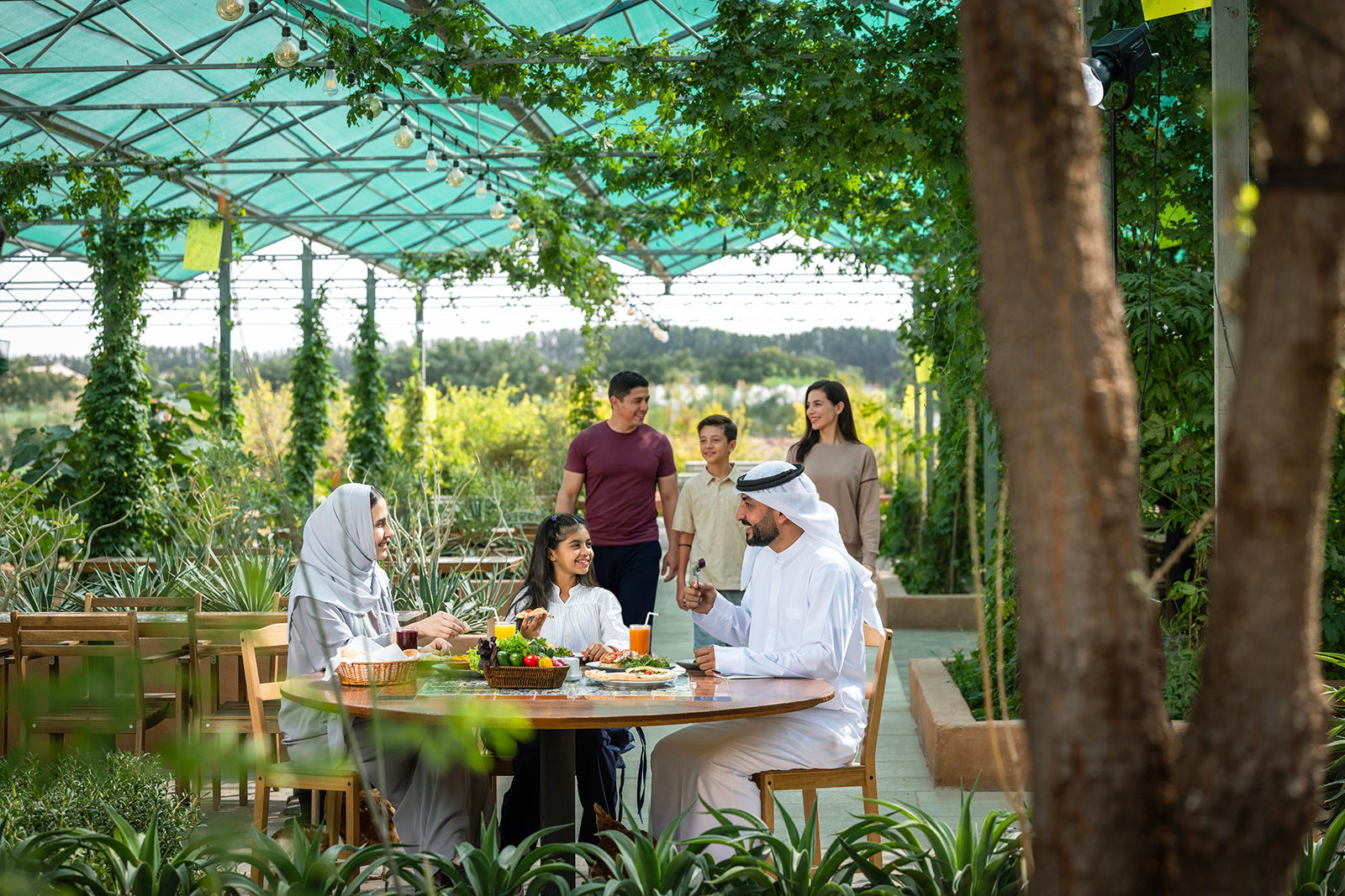 Farm-to-table dining