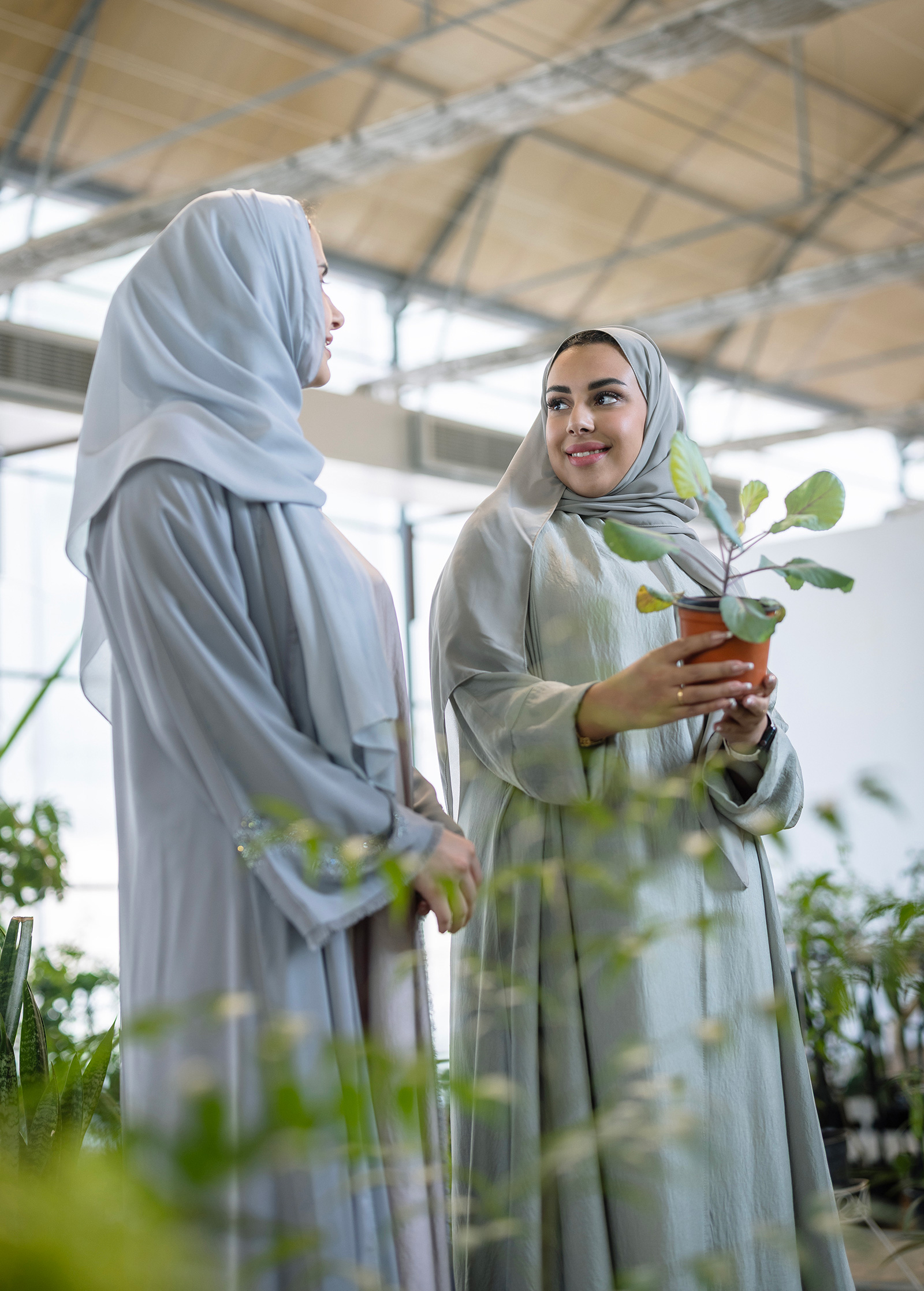 The UAE’s largest organic farm