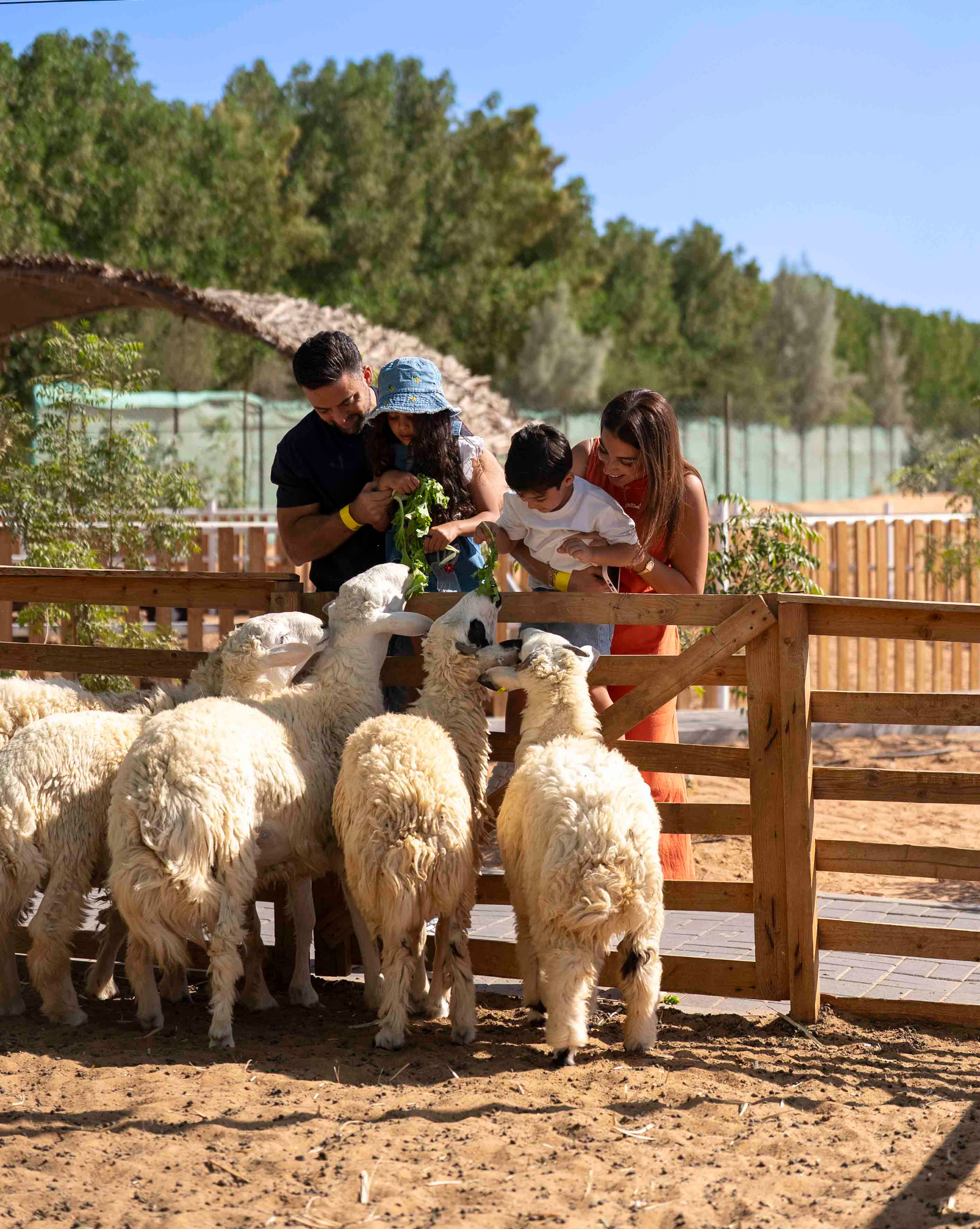 emirates bio farm
