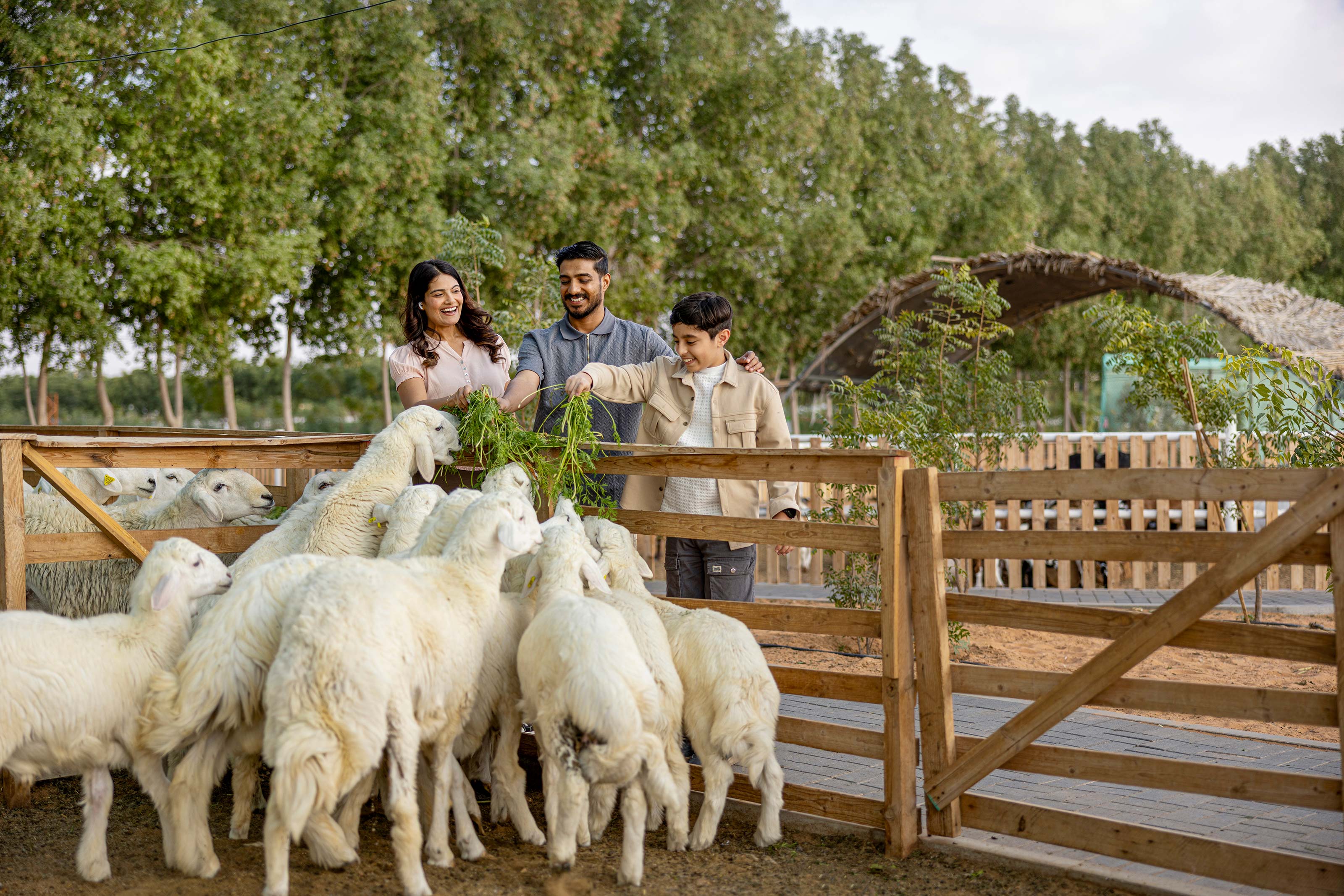 emirates bio farm