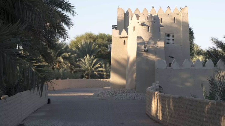 Discover Al Jimi Oasis