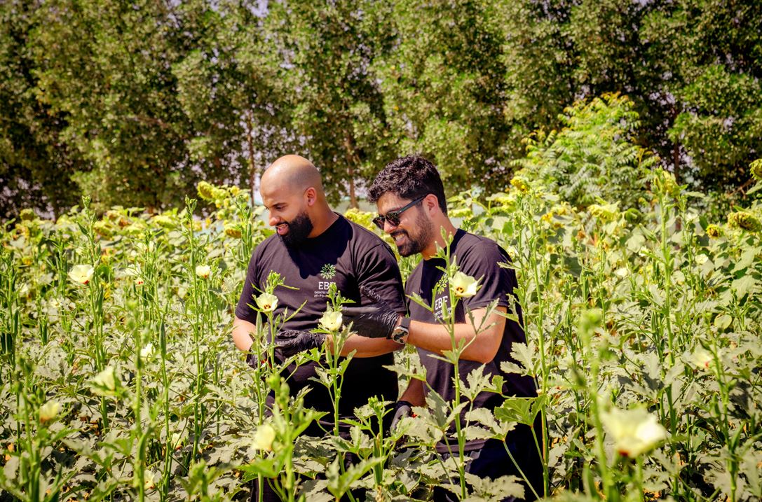 A Farm-to-table Experience