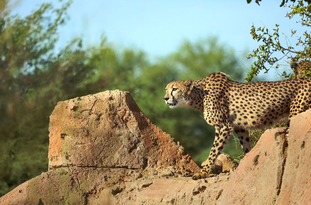 1. Wildlife encounters for all ages