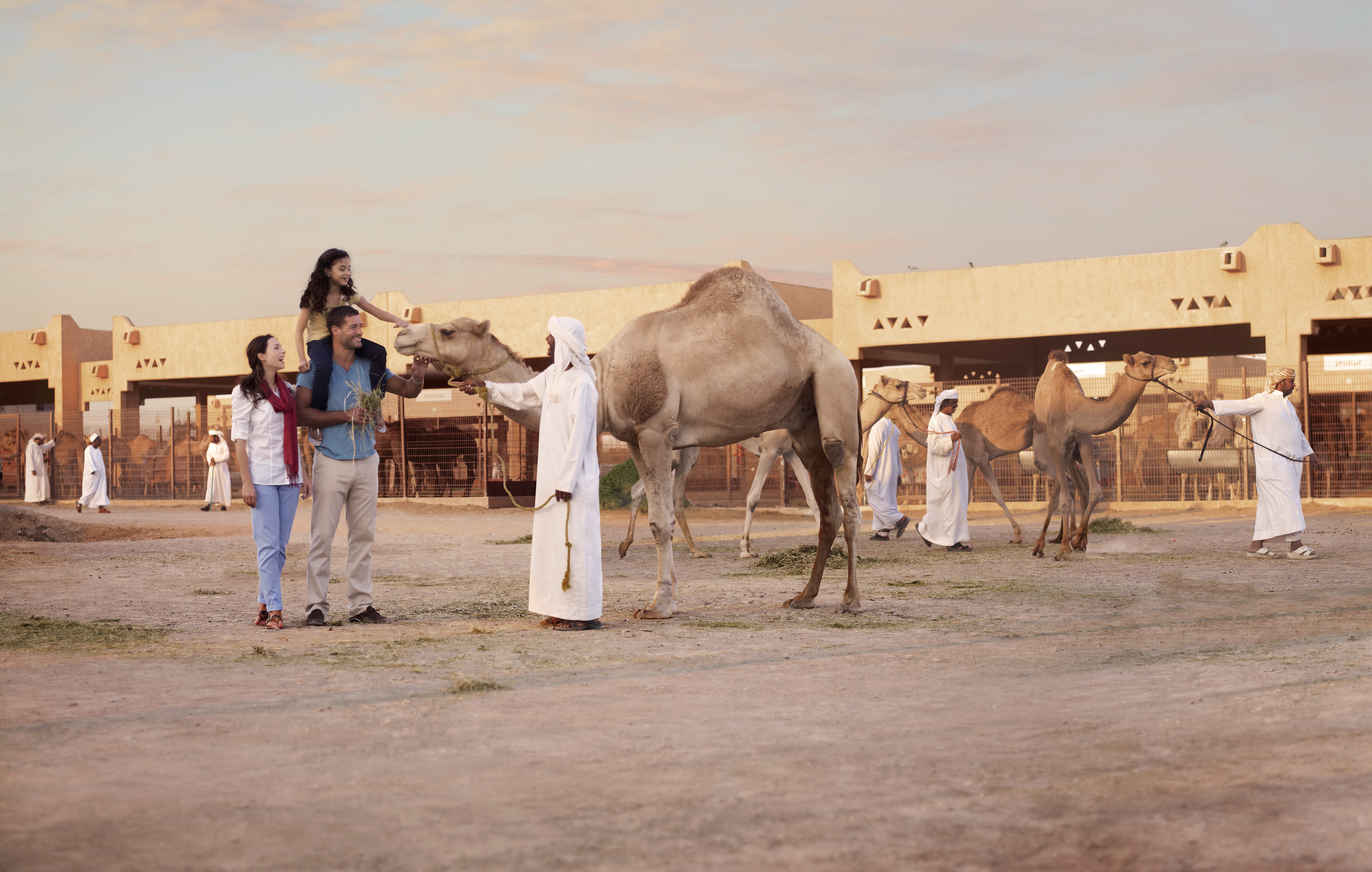 5. Al Ain Camel Market