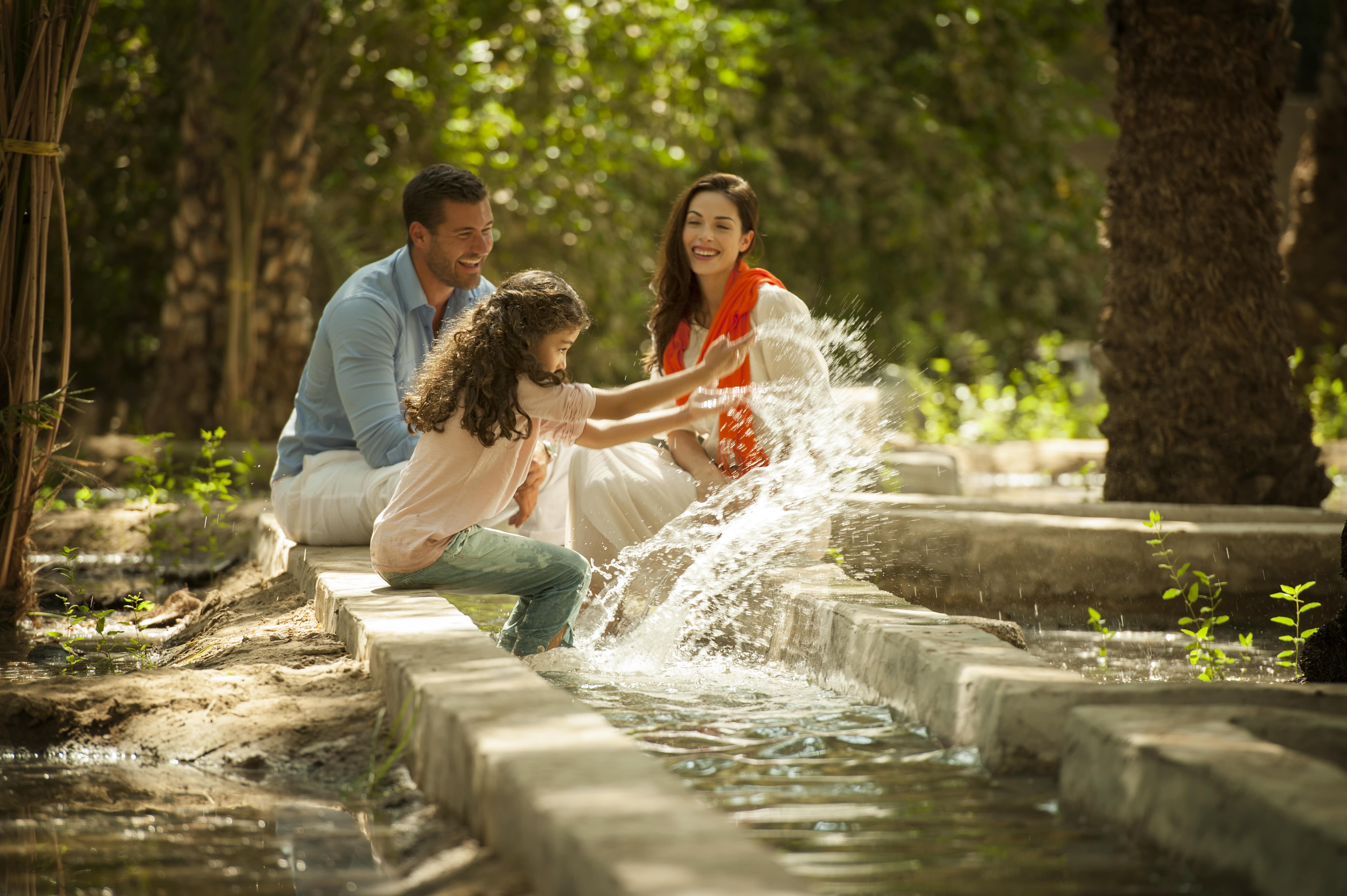 1. Al Ain Oasis