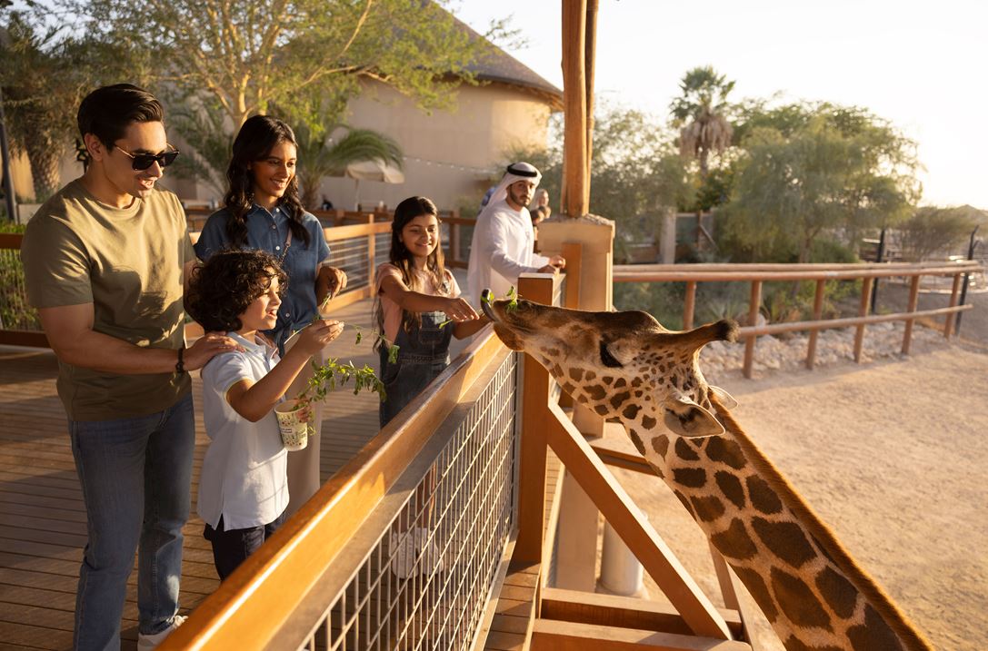 2. Embark on a safari