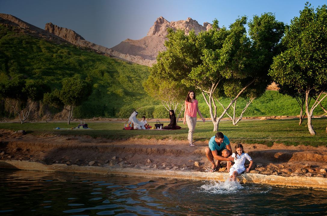 1. Plan a picnic