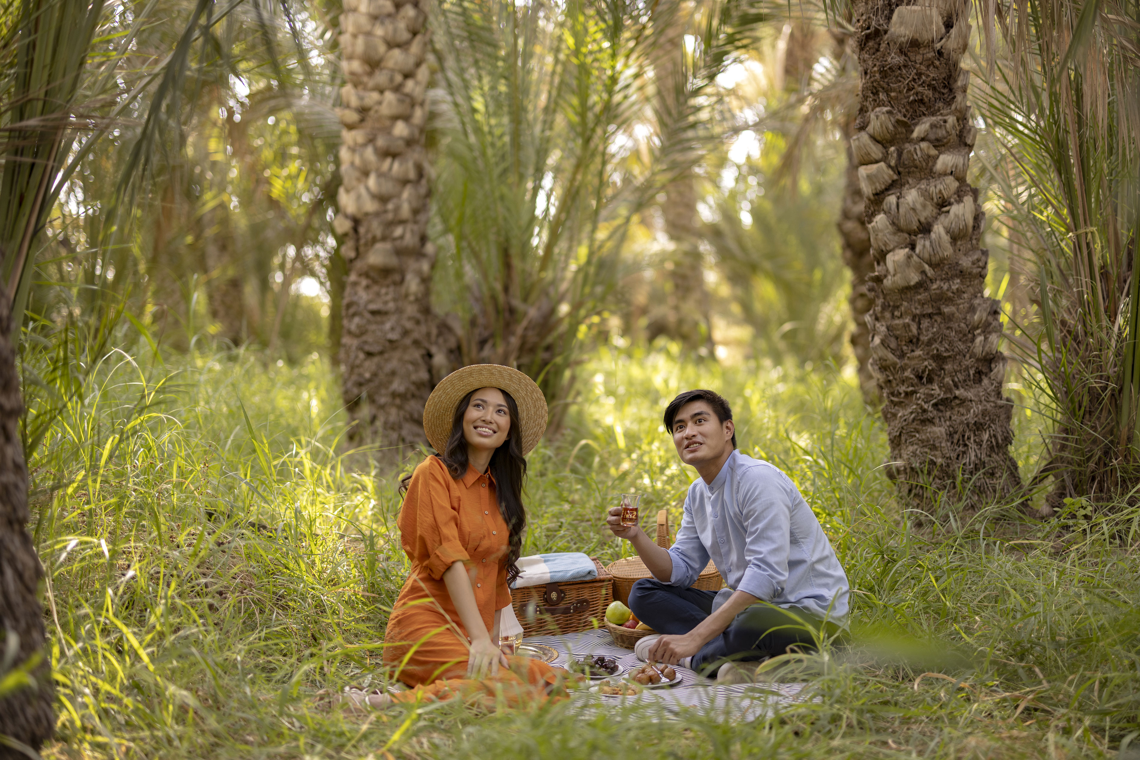 places to visit for free al ain