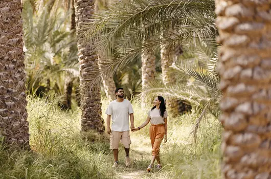 things to do at al ain oasis