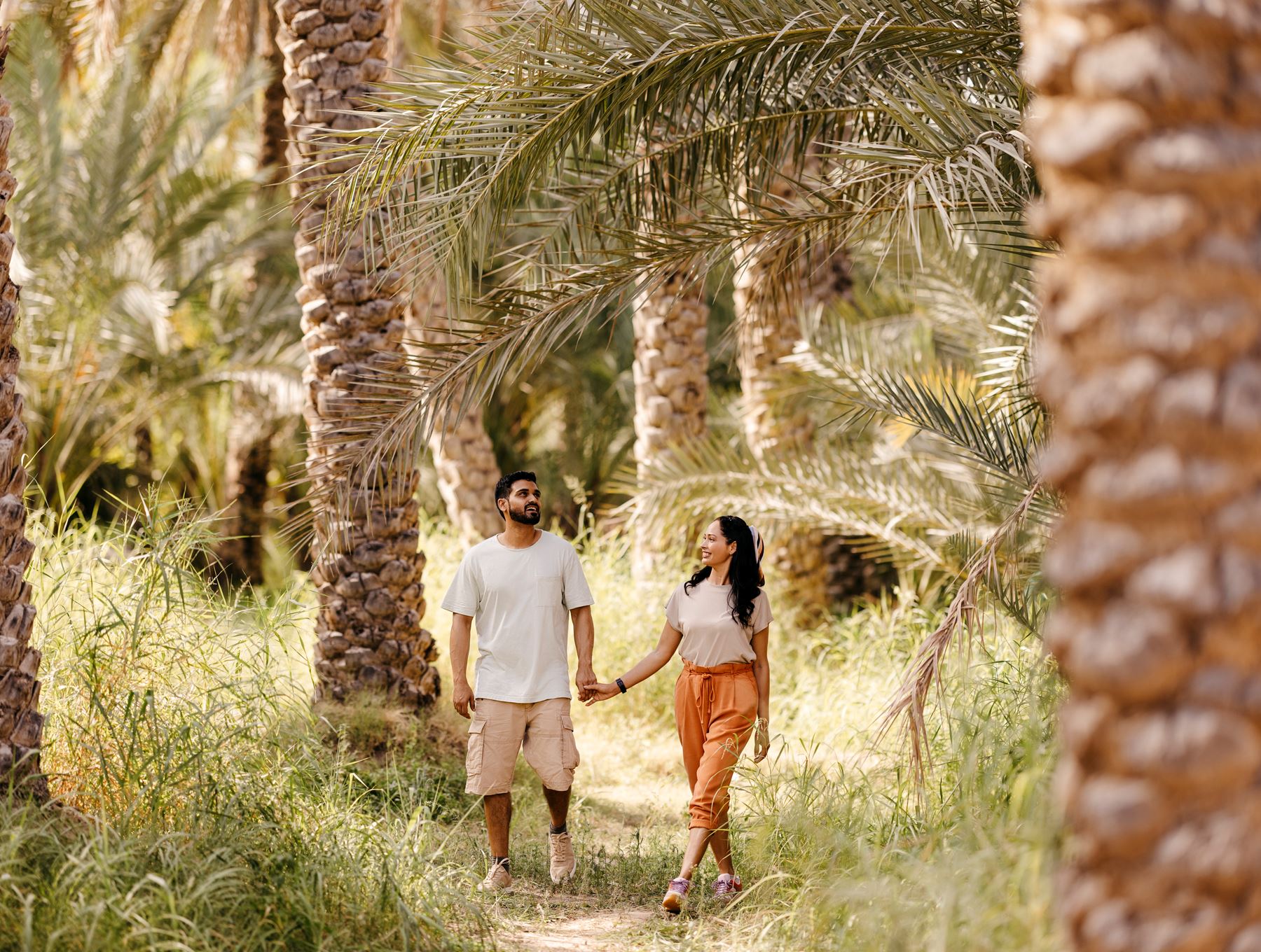 things to do at al ain oasis