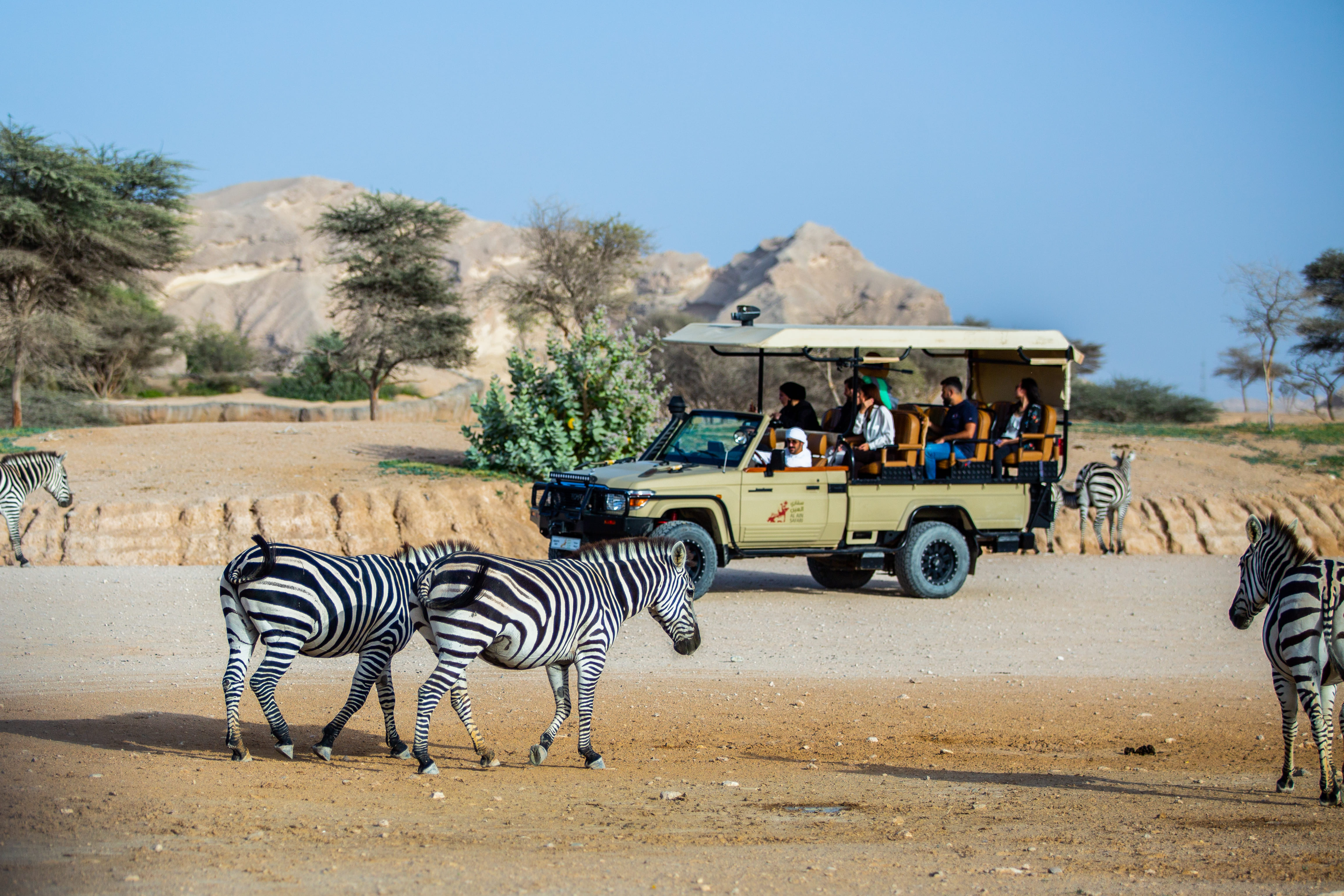 Level up your experience with a safari tour