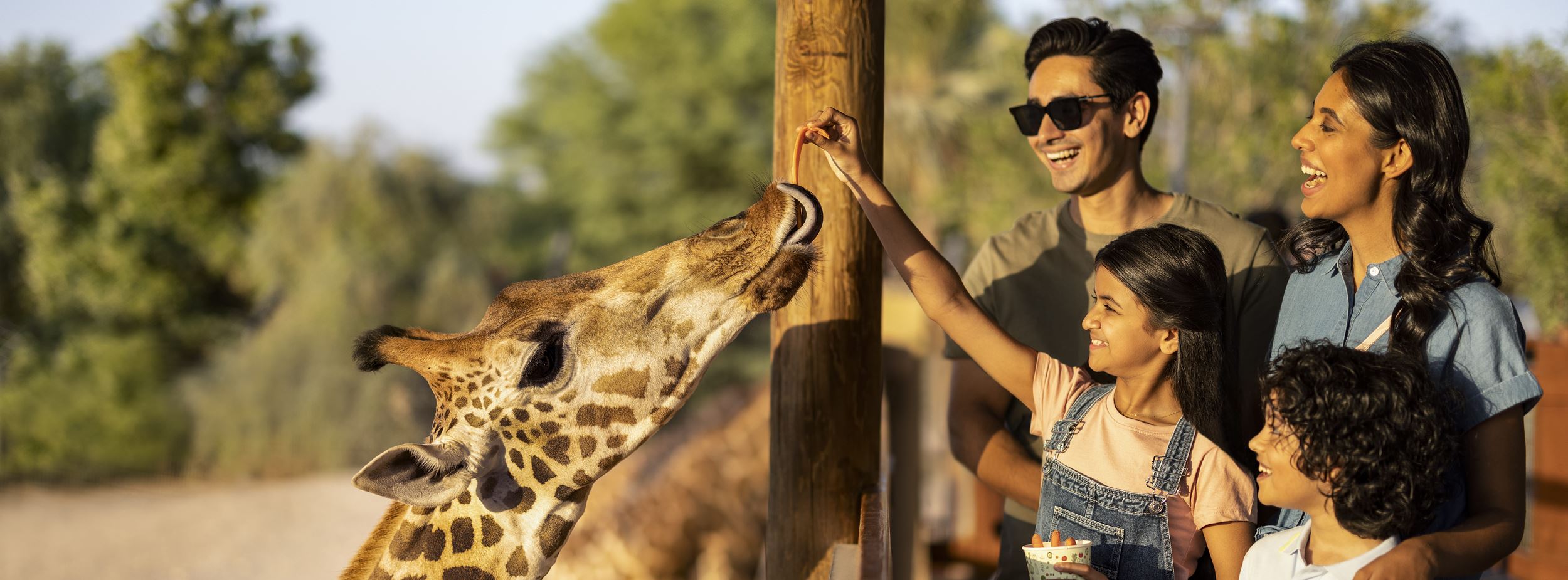al ain zoo